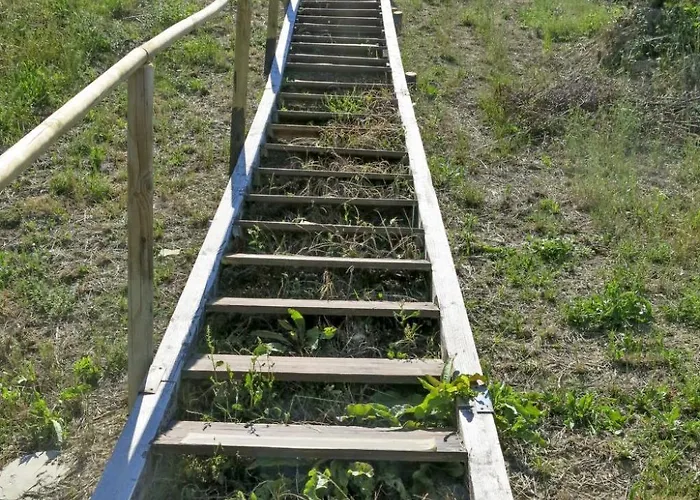 Intensivo-elegante By Interhome